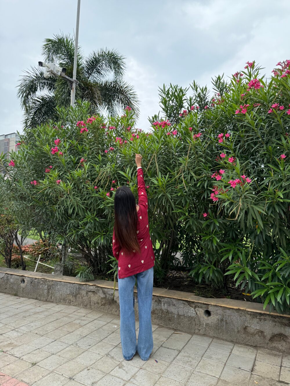 Heart cut out kurti (Red) - Image 2